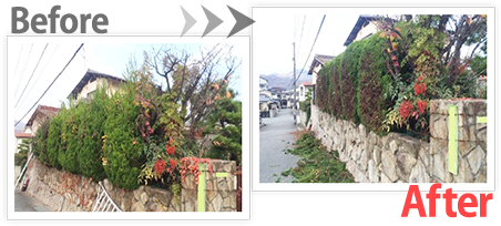 生垣の剪定 Before After