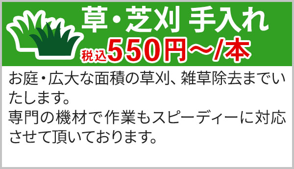 草・芝刈 手入れ