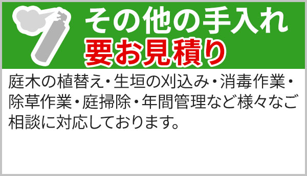 その他の手入れ